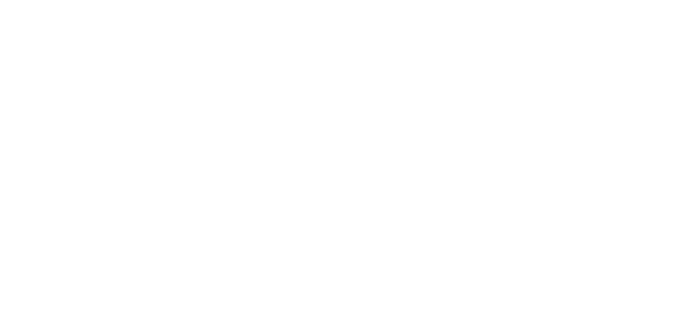 Everything Inc.
